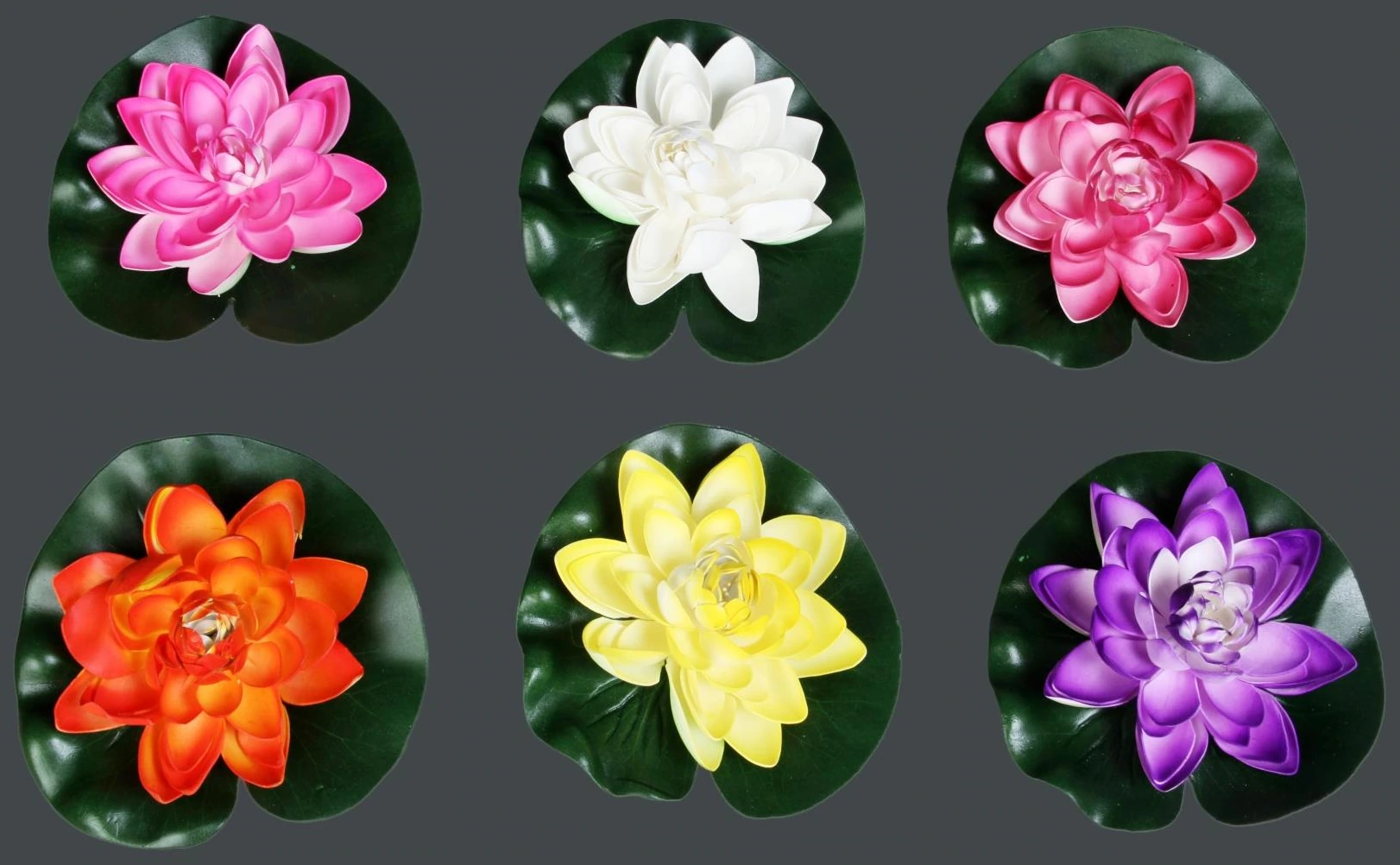 Floating Lotus 10cm